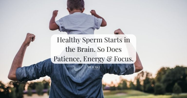 Functional Neurology & Men’s Health: Fertility, Fatherhood & the Brain-Body Connection